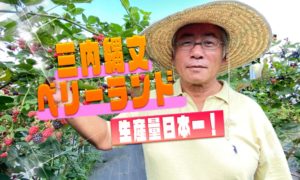 8月が旬! 三内縄文ベリーランドで食べ放題&代表の樋口さんからベリーについて学んできた!