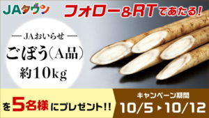 産地直送通販サイト「ＪＡタウン」にて、青森県産“ごぼう”の販売を開始しました！