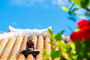 さくら野弘前店 大型水槽終了