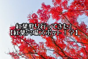 『中野もみじ山』に行こう！！しかし着いたのは、、！？紅葉穴場スポット発見！？