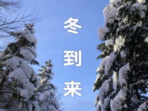 青森に本格的な冬がやってきた!