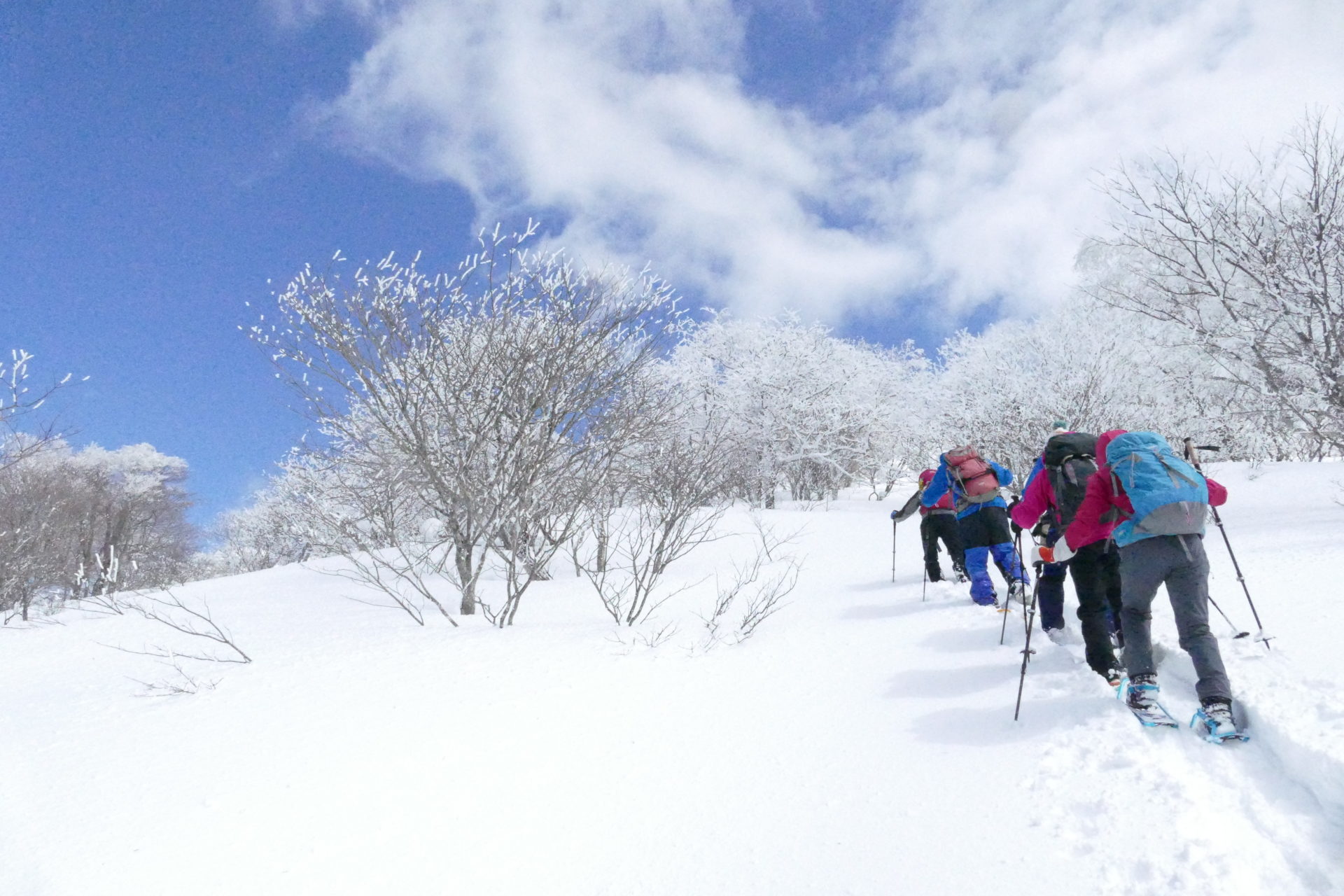 【冬限定】105分かけて十和田山の絶景を拝む！