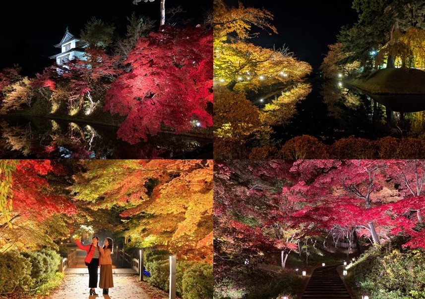 『弘前城菊と紅葉まつり』を10月28日から開催！ 紅葉特別ライトアップや彩り豊かなフラワーアートが登場