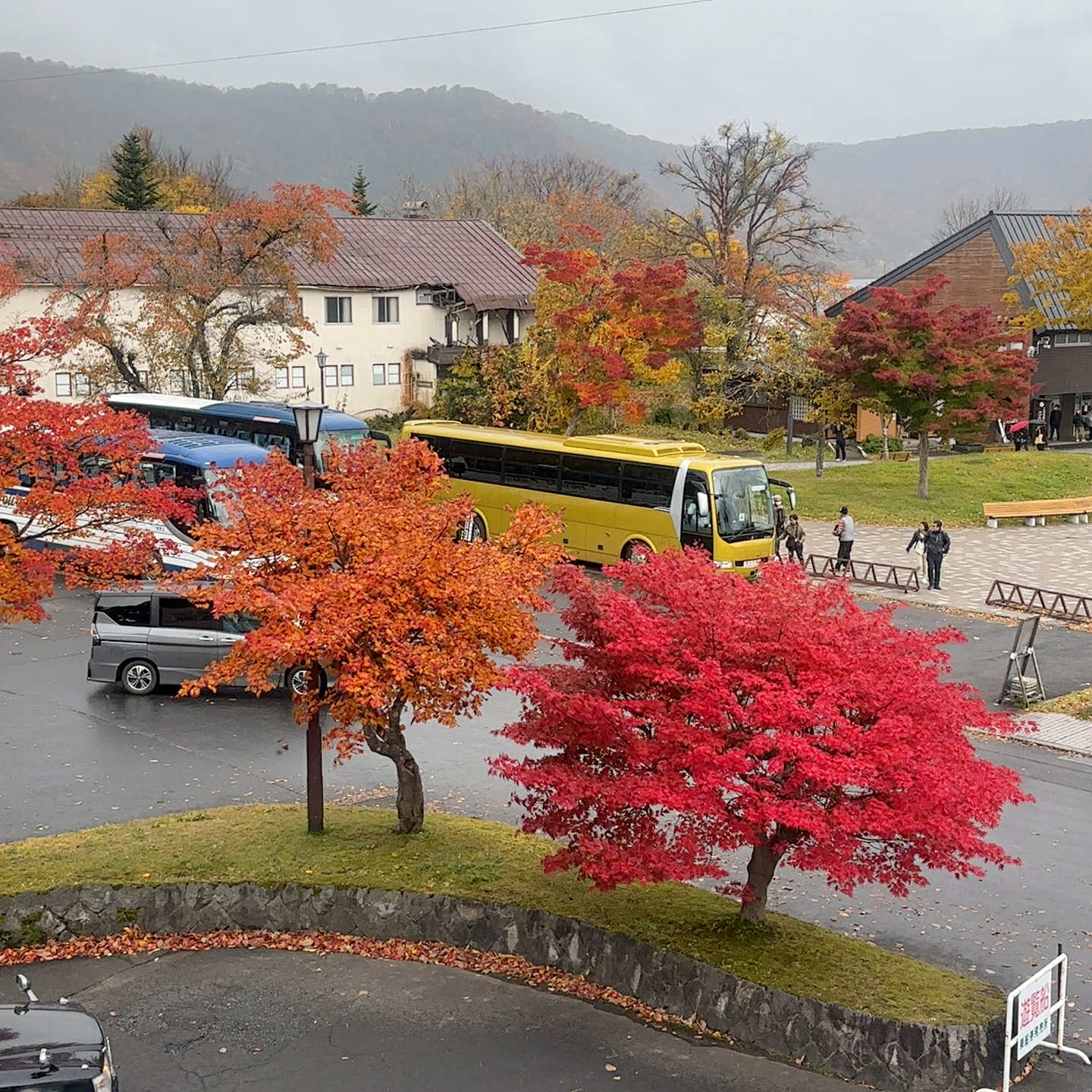十和田湖の「赤い衣」を見に行こう-自然が織りなす秋の絶景